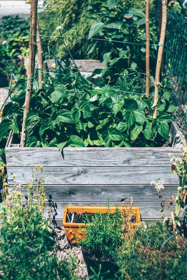 Les avantages du bricolage pour le jardinage