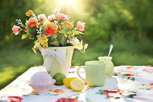 Comment louer votre jardin privé en France