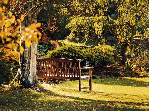 Comment bien isoler mon jardin du voisinage ?